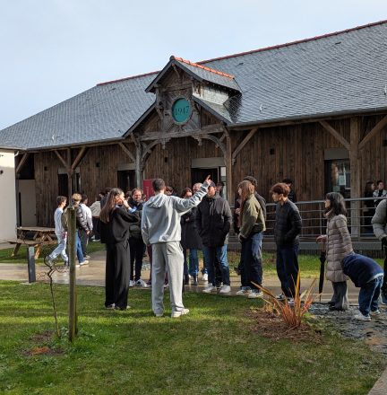 PXL_20260131_110014615